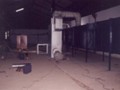emax(53)