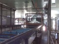 emax(78)